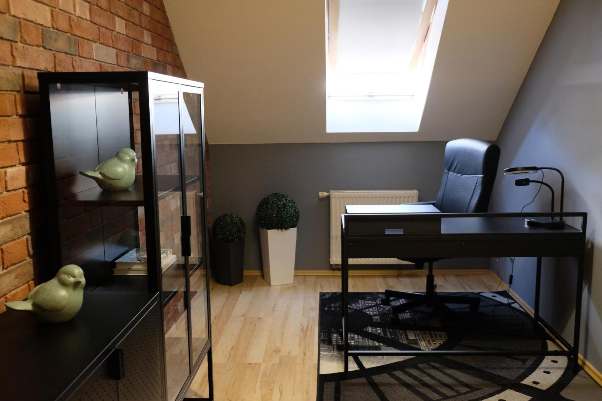 Poddasze Artysty Mieszkanie Ozonowane Apartment *