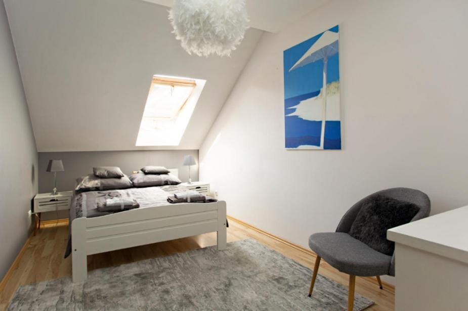 Poddasze Artysty Mieszkanie Ozonowane Apartment